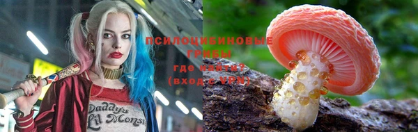 а пвп мука Новозыбков