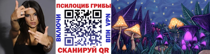 Галлюциногенные грибы Magic Shrooms  купить наркоту  Андреаполь 